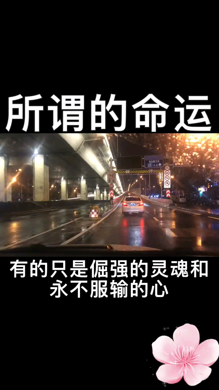 骨子里的那股倔强，永不服输！的简单介绍
